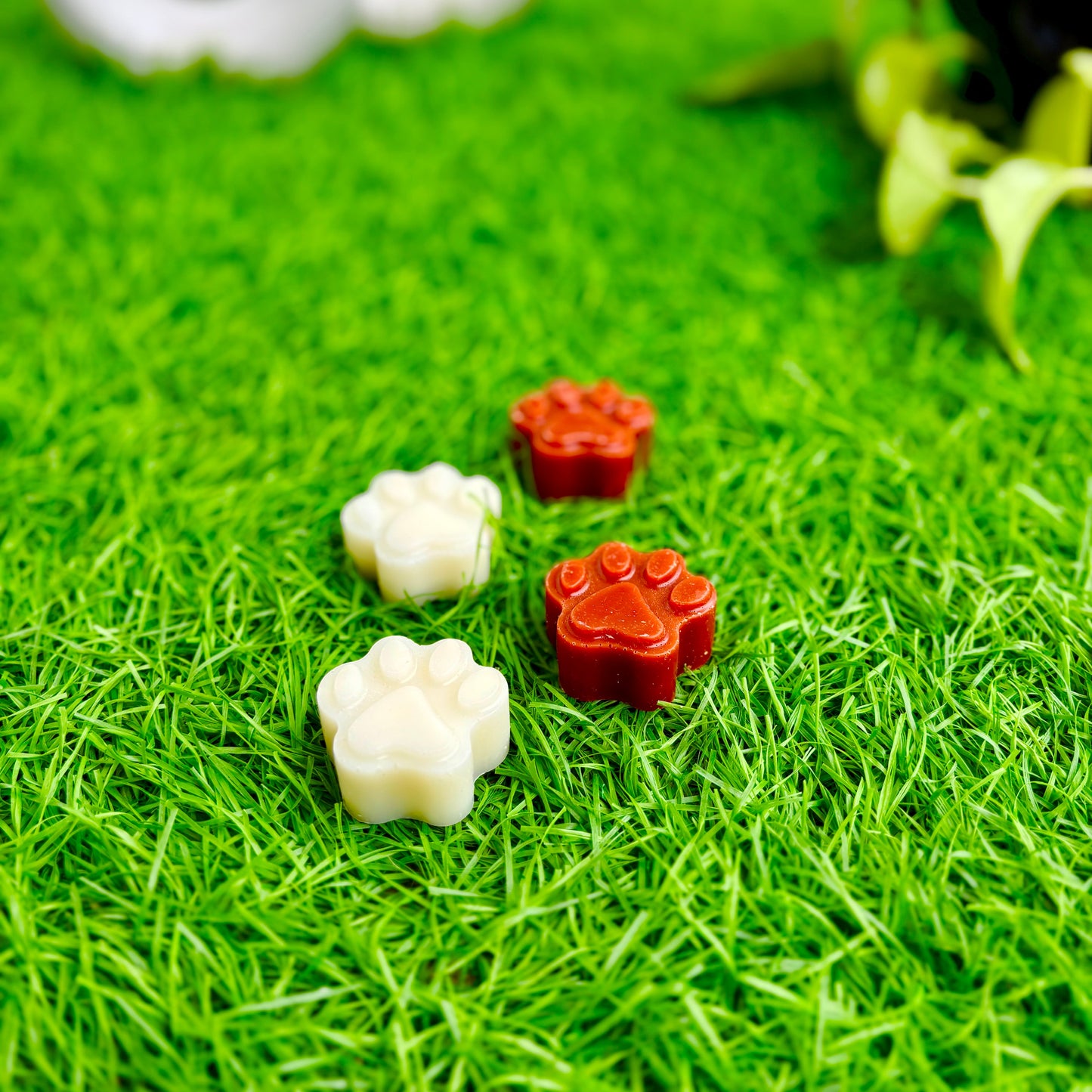 Cute Furry Paw Candles - Pack of 5