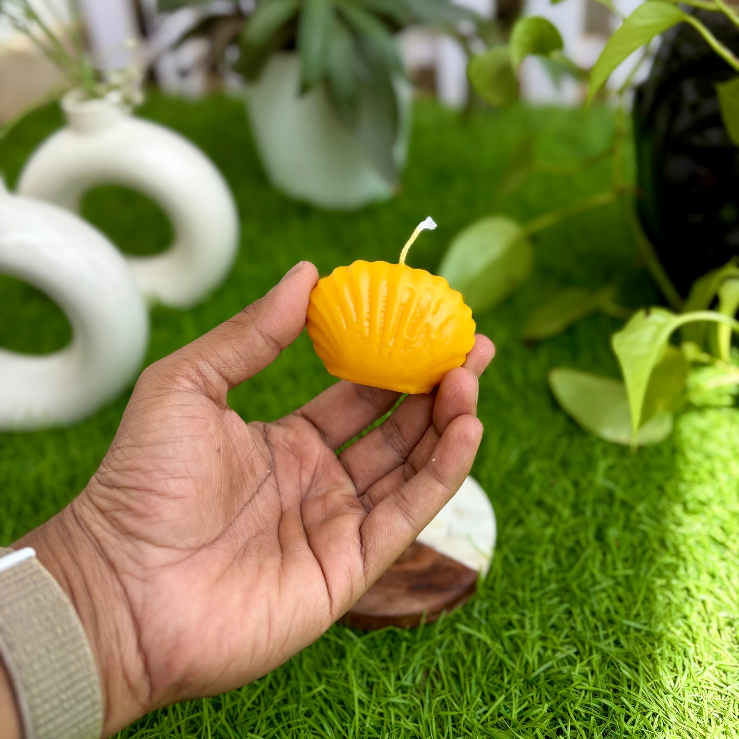 Rimgo Sea Shell Candle - Medium - Pack of 2