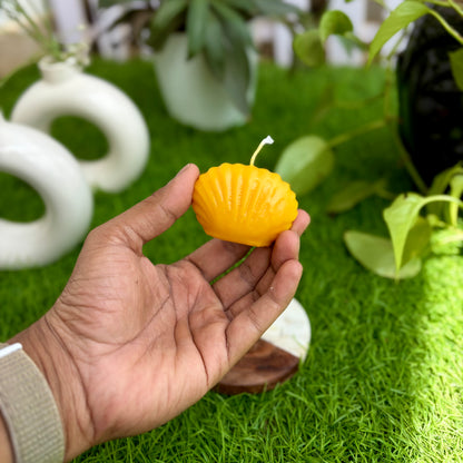 Rimgo Sea Shell Candle - Medium - Pack of 2