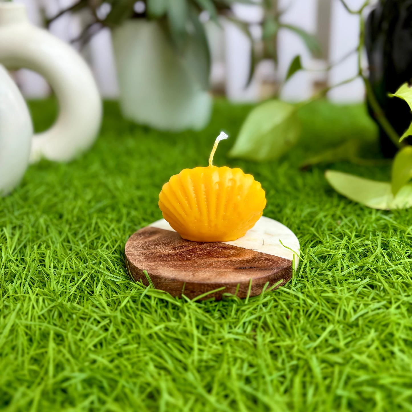 Rimgo Sea Shell Candle - Medium - Pack of 2