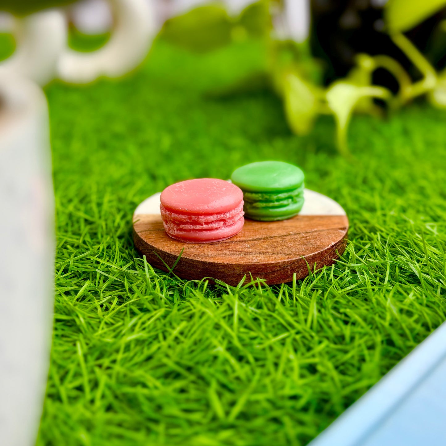 Two macarons, one pink and one green, on a wooden coaster with grass-like texture in the background.