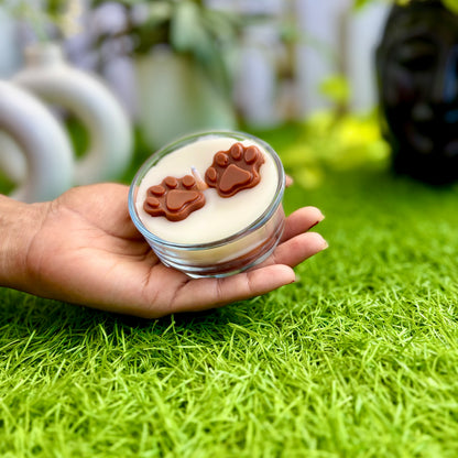 Rimgo Glass Pet Candle for your Furry Friends